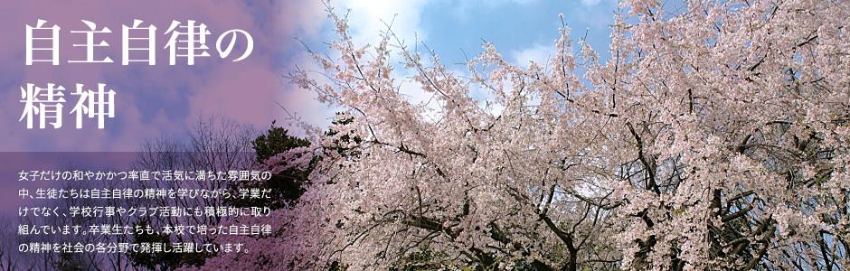 乐鱼体育平台会员登录