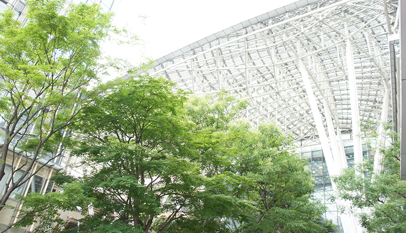 利澳登录地址 主要な役職についている人間だけが詳しい情報や事情を把握しておけばいいのだ、という感覚は、業界内に間違いなくあると思う